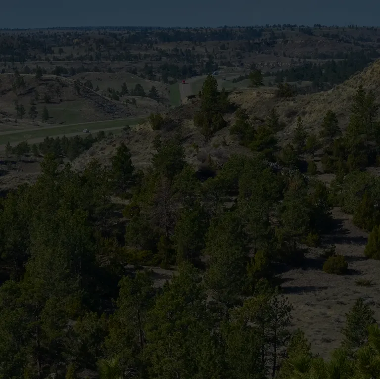 Expansive mountainous landscape with dense evergreen trees and a winding road.