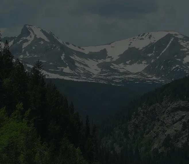 Snow-capped mountain peaks above dense evergreen forest under a cloudy sky.