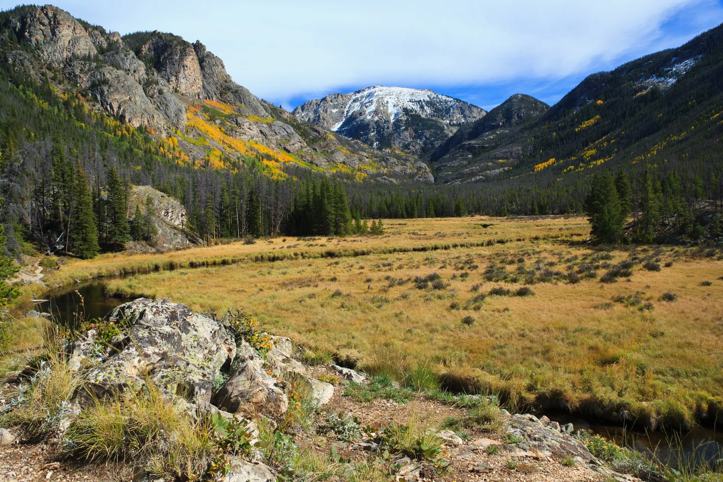 Scenic mountain valley with autumn foliage, evergreen trees, rocky foreground, and snow-capped peak.