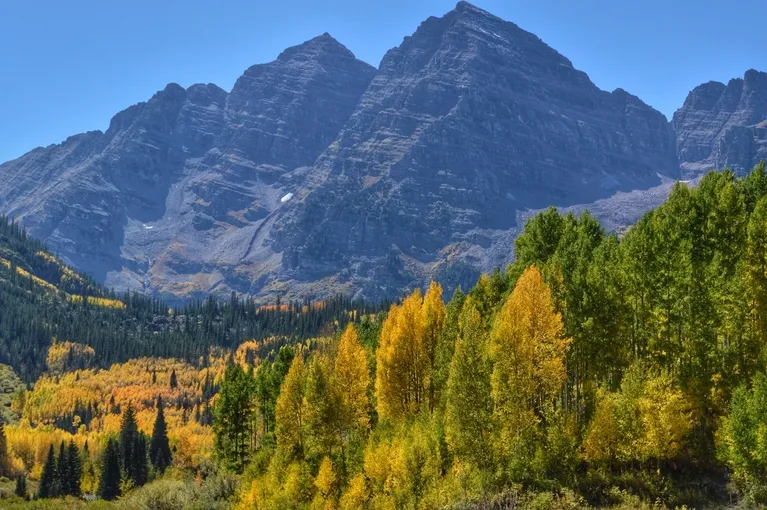 Majestic gray mountain peaks under a clear blue sky with a forest of green and yellow autumn trees in the foreground.