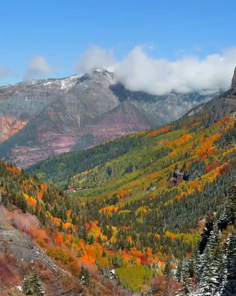 Vibrant autumn forest with orange, yellow, and green foliage in mountainous landscape under blue sky.
